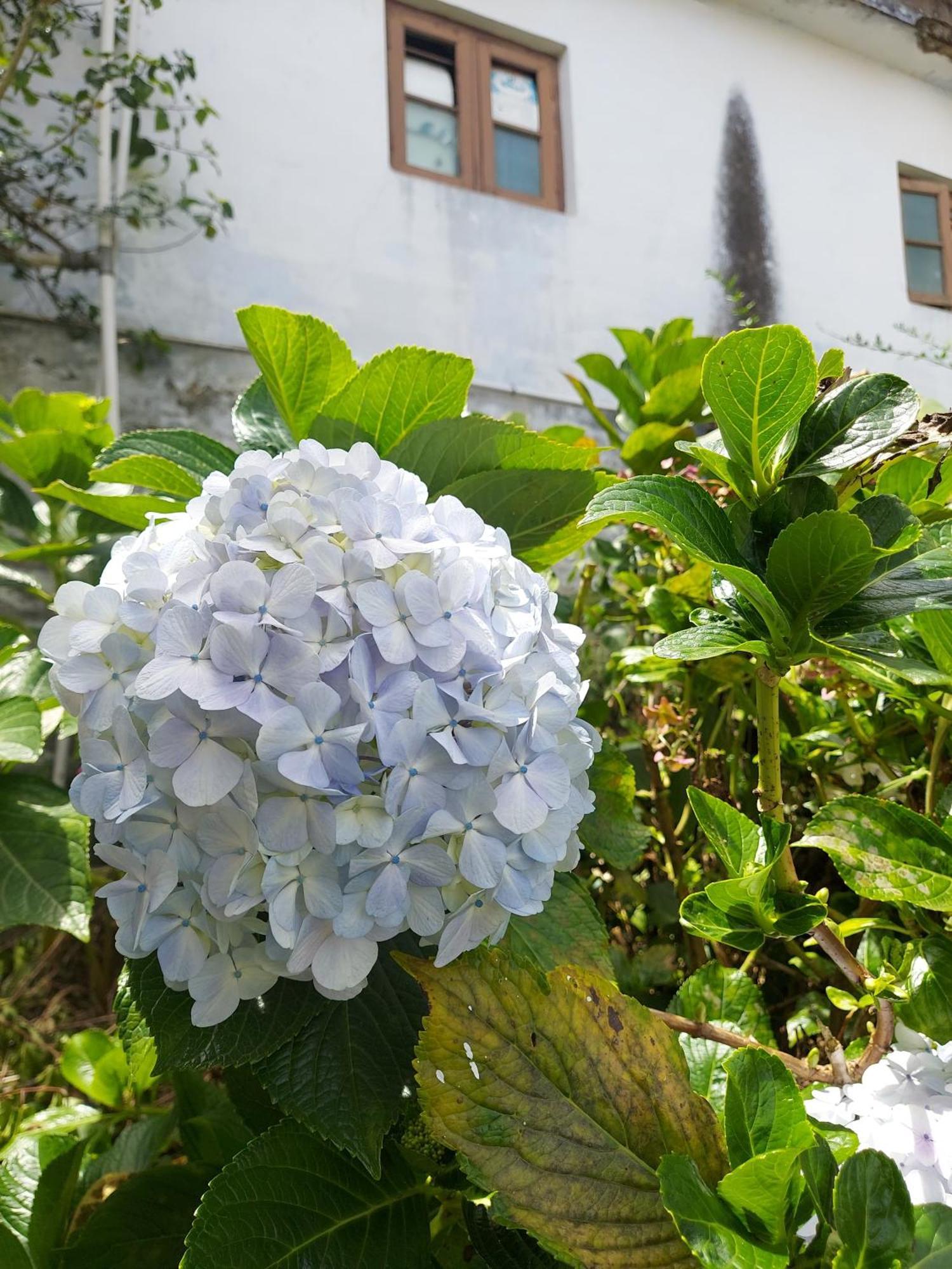 Amman Resorts Kodaikanal Exteriör bild